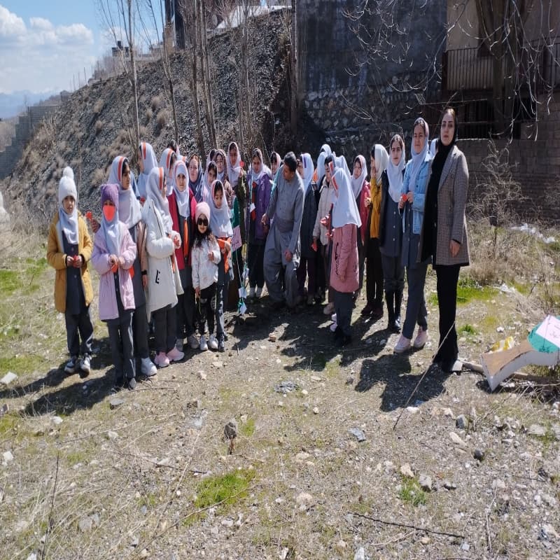 روز درخت کاری