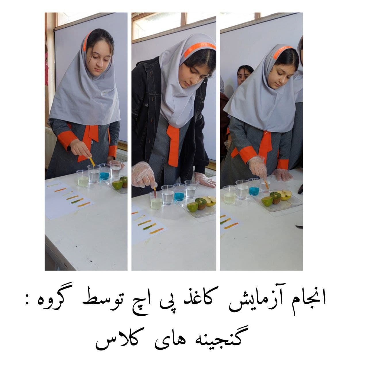 انجام آزمایش